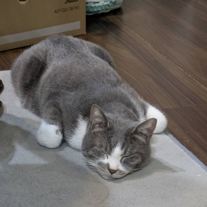 5631bd03 cbd5 4ec3 852e 965b91c01236 1771682289684