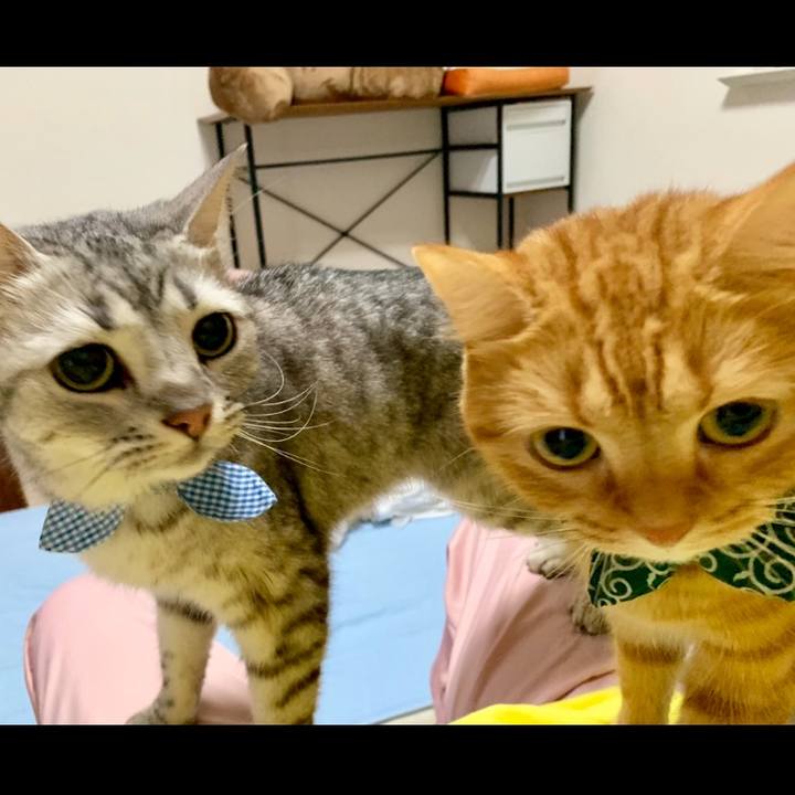 5632331a 5024 4fa2 93df ca6ce8ee83e8 1565396859850