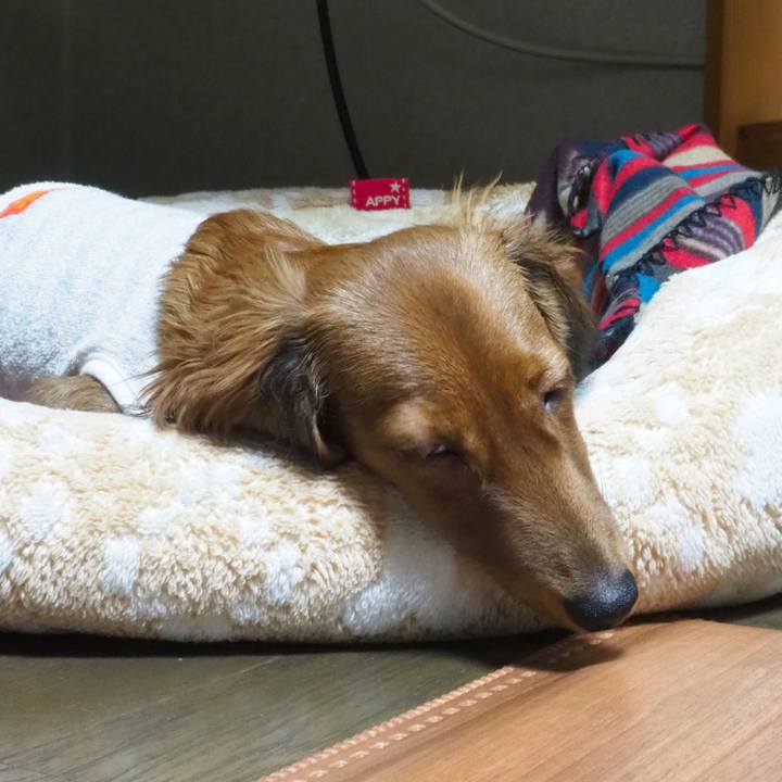 56328302 519e 4006 8871 f99e113ffdf3 1700282986842