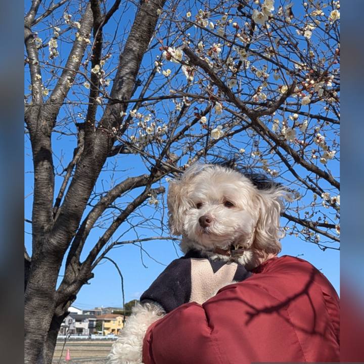 56328e73 f4ce 43bd 9ff6 c90b32eac498 1769859445855