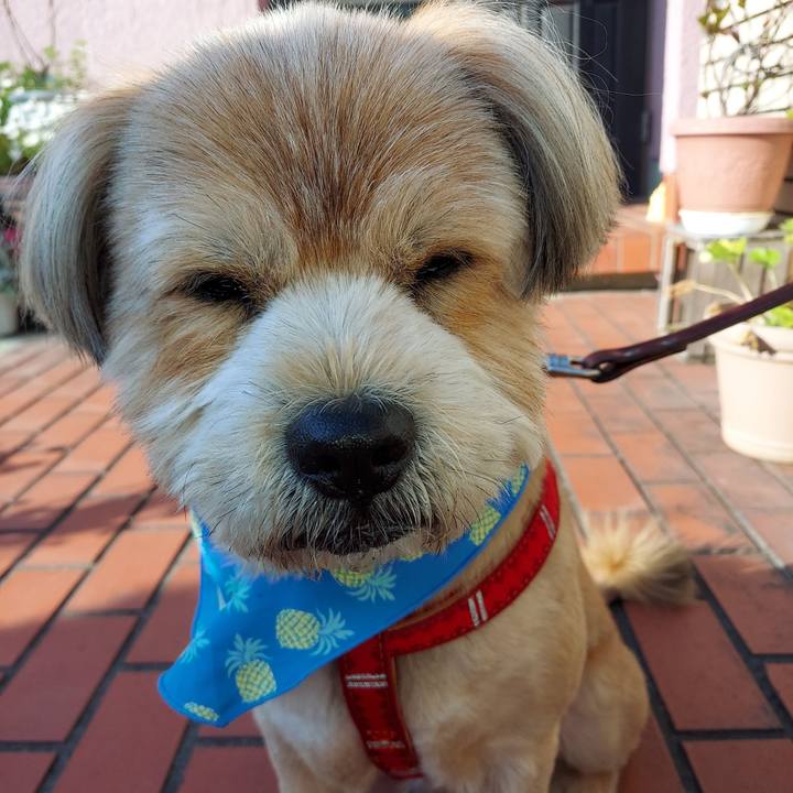 5632b19c 0f83 4247 be52 499627106723 1618872452124