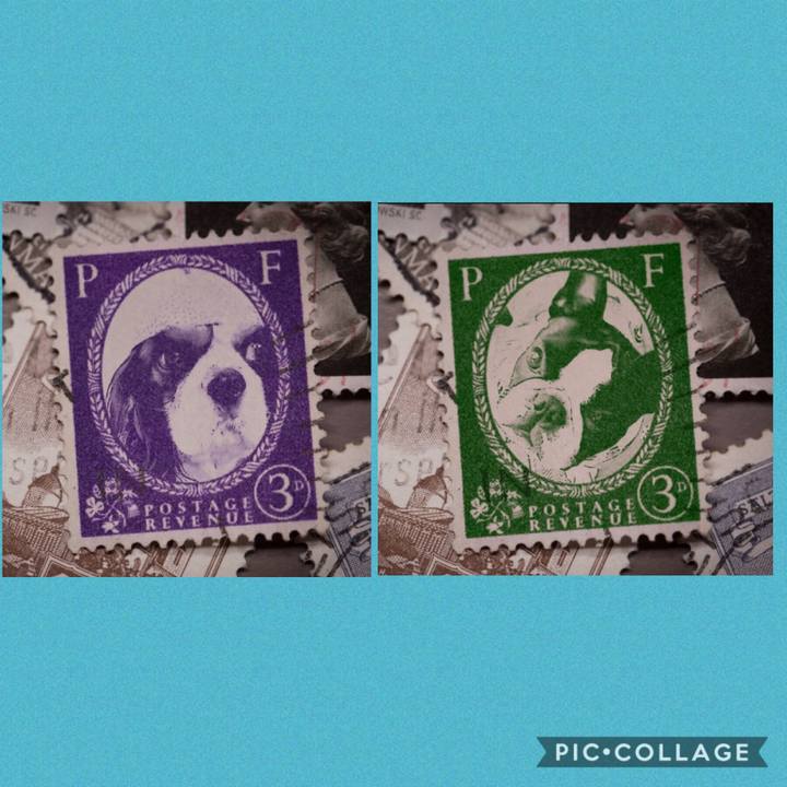 5632ddae 8da9 487d 9bbc 673d49b49ae3 1569907991128