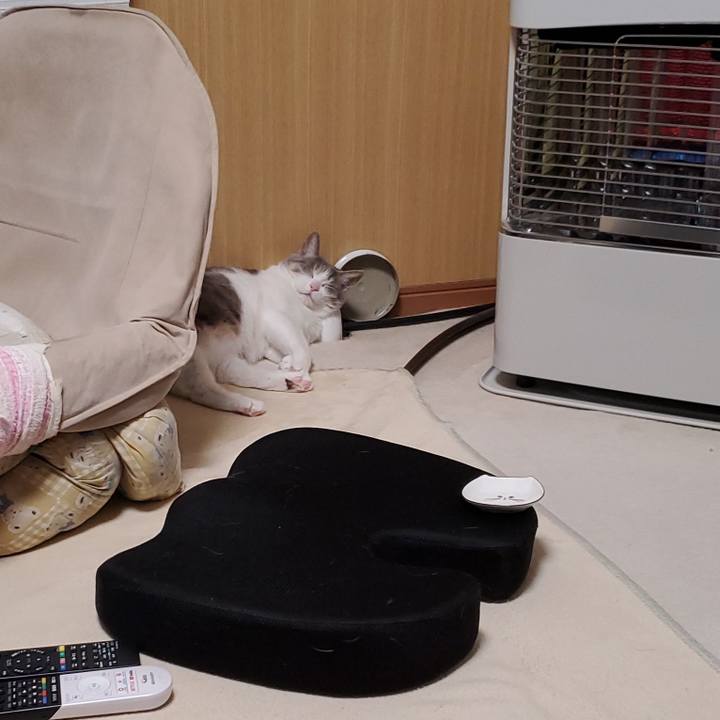 563310ae 4b52 4693 8213 e314b4e8cf9c 1708789114643