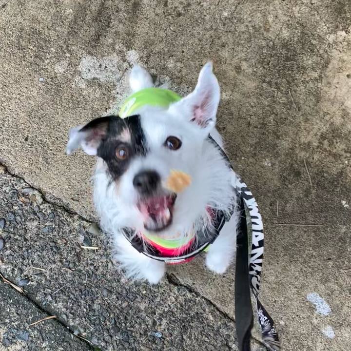 56334921 303c 4c85 91bc 5cc43f57c59f 1711352658494