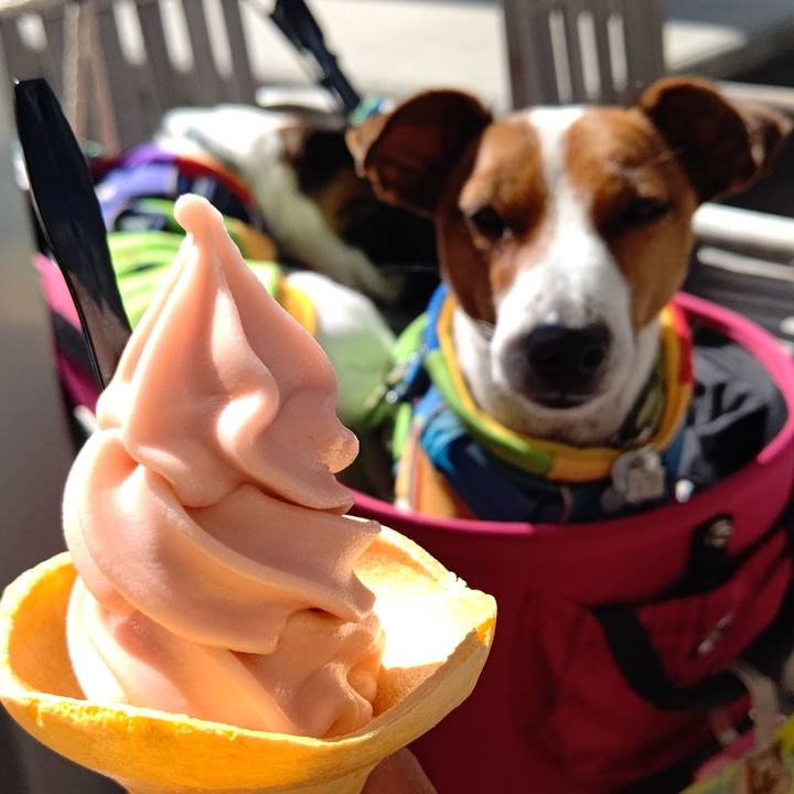 56335cd7 1c7a 44e8 82da 1384941d2f2f 1618732571126