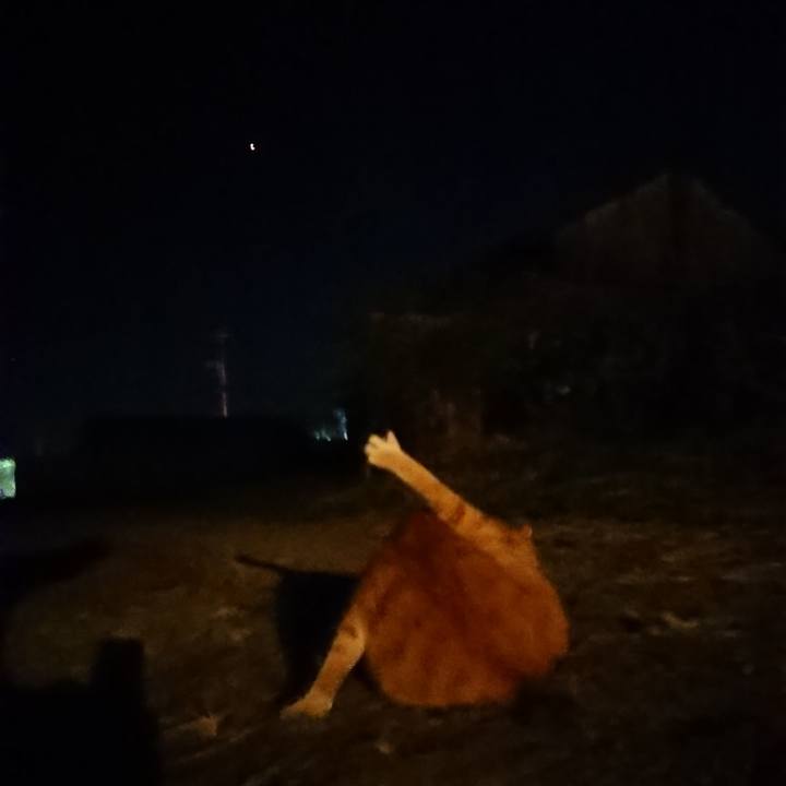 56336628 f627 4000 8b93 7b5e3192aa67 1603273649352