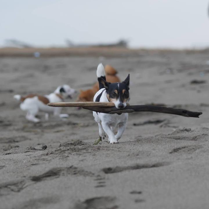 5633a4c1 4986 4f0c b637 ab14f3421235 1636687051203