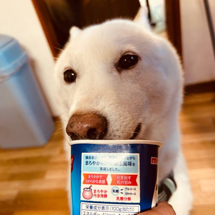 5633b28b f184 494d 86ea 5defb304f4cb 1698272715356