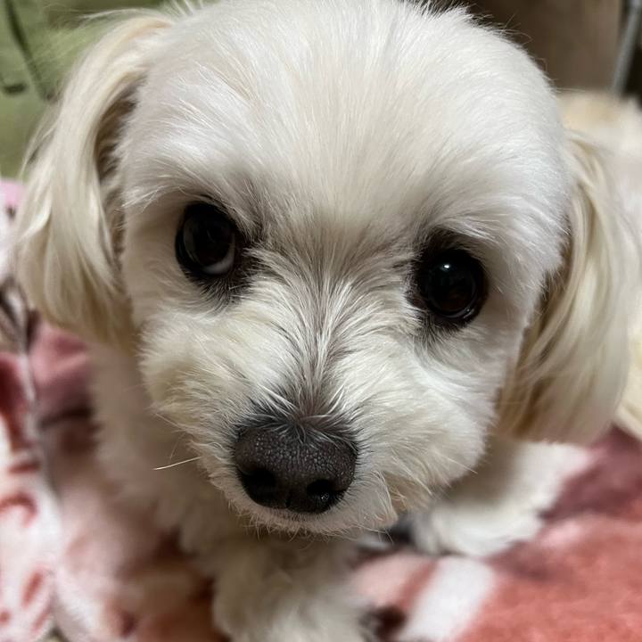 5633cf0b dde5 4171 9c68 a4136f7c0072 1672742468182