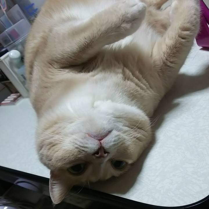 5633e466 7481 48b5 8d69 cc2514d38a04 1583424519284