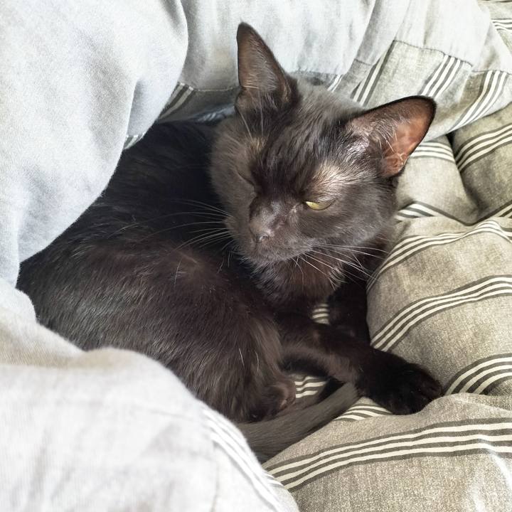 5633f547 013d 4eb5 8818 89eed839287e 1697165258487