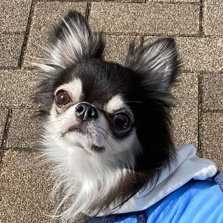 5633f5de 82d4 4386 9613 b418f05cc966 1667109916416