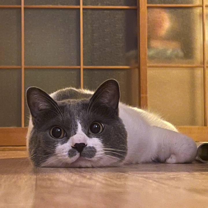 56340cd9 bfb7 4cc5 9ea7 8d00314ace39 1656258066968