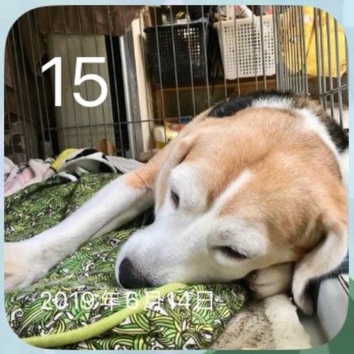 563451a1 2990 46a9 966e 479abc26c940 1718432021866