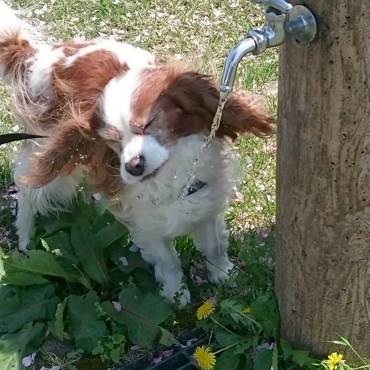 563453ea a79c 4825 b8a9 6a62afee4f5f 1525500616354