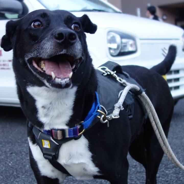 56347f92 cd15 4629 b3dd 9c201af03064 1661386849561