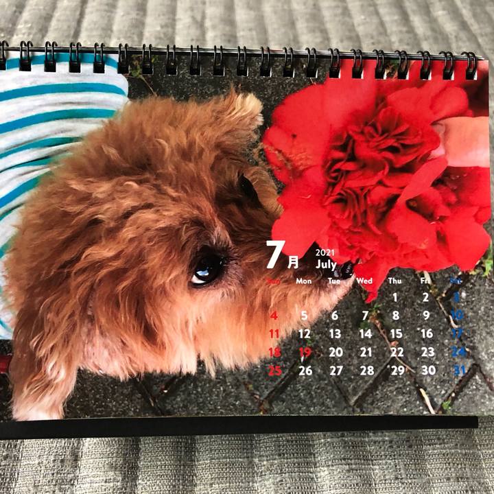 5634b98a 8e1a 47e7 a161 24cbb81f2a65 1626999198605