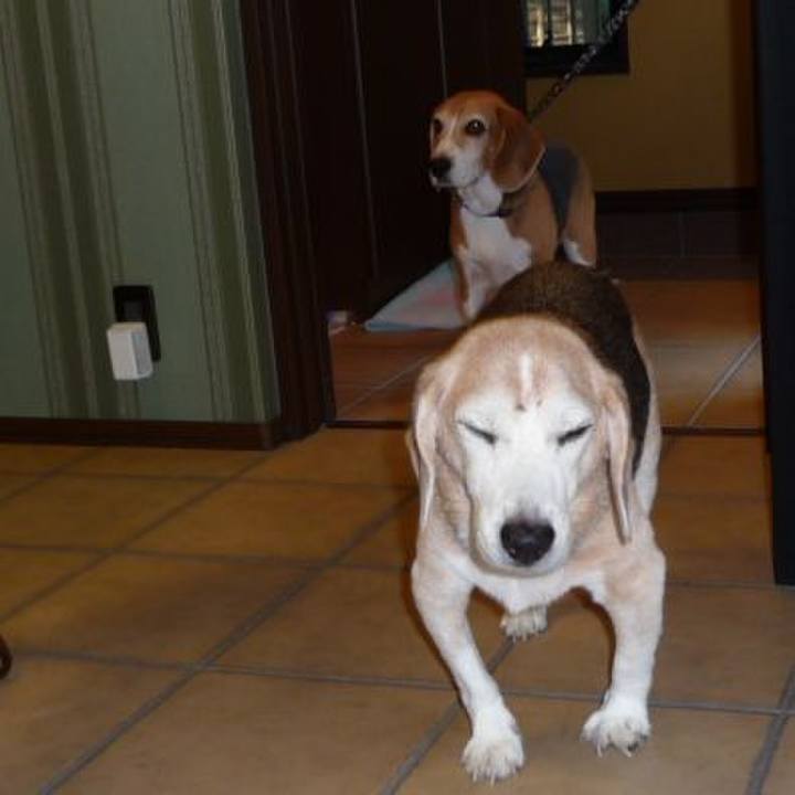 5634d992 a349 41de 9a59 5a9045e84f3b 1695603360110