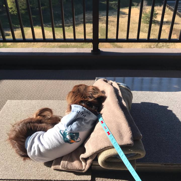 563501de 7d1c 4f54 a9d8 925c11d2a66a 1587248498419