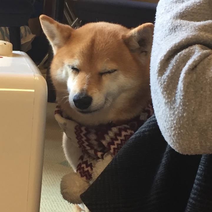 563518a6 d034 4e28 bf31 28aadb19e404 1514943060088