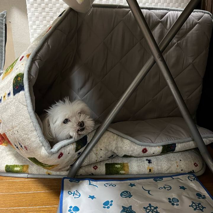 563518be 8025 490e 9227 98940fbfab47 1725153854409