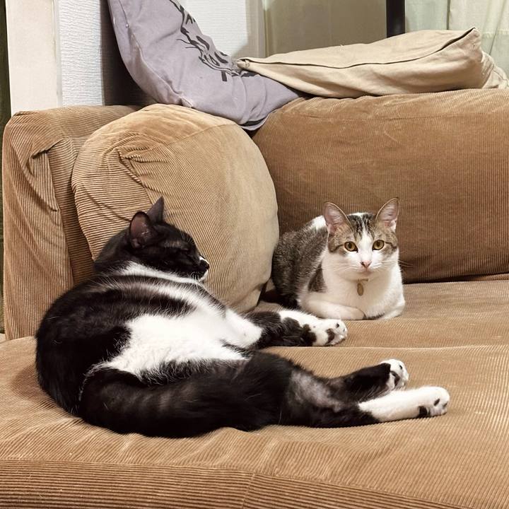 5635240d 8713 4392 bfcb 52f298e2605a 1760960370194