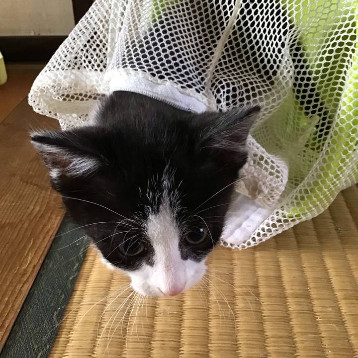 5635737a 9791 4a74 874c 5544c443d8ee 1623728529735