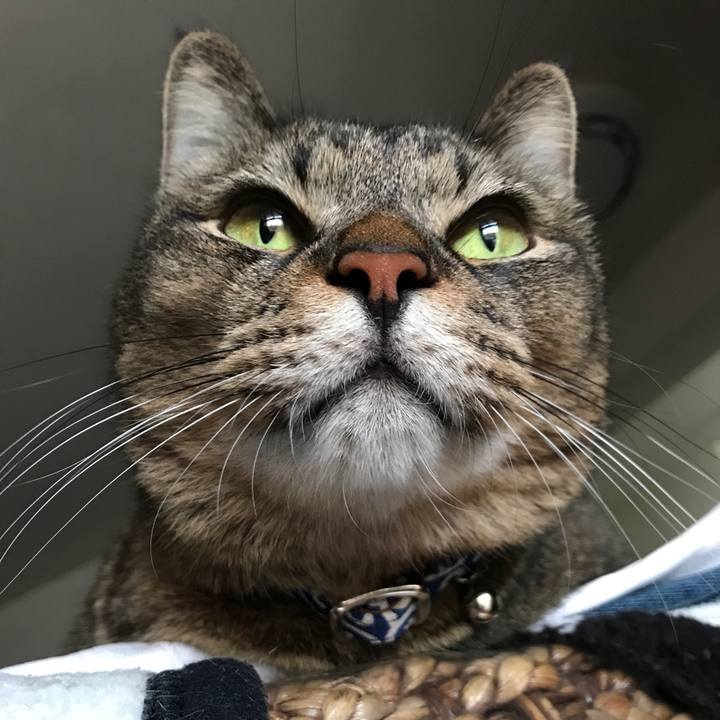 5635792e 90c0 42e5 b49c cf55c1534afd 1507935942055