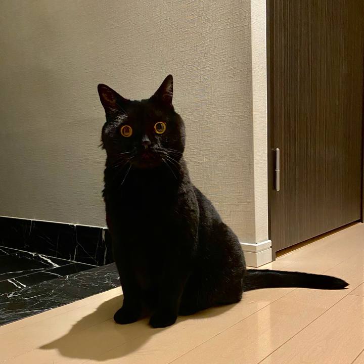 5635855b e07e 40bc a839 7f61765de68e 1654513579337