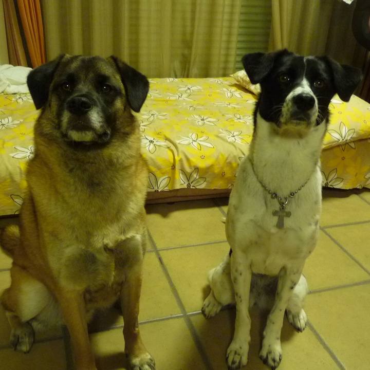 563585af 5825 4b31 8eaa 6c1bcda5fcd3 1517651902831