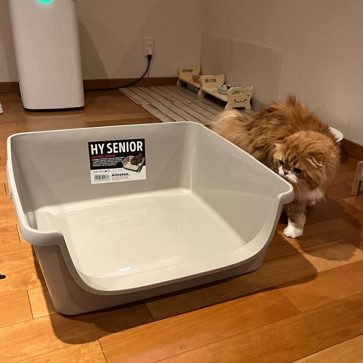 563588d5 0e55 468d 94de 5dcd6e008487 1773369255112