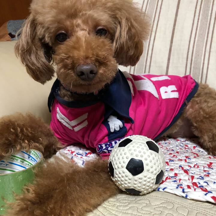 56358d23 af52 4ca8 b86d 0244bf68b635 1590376571737