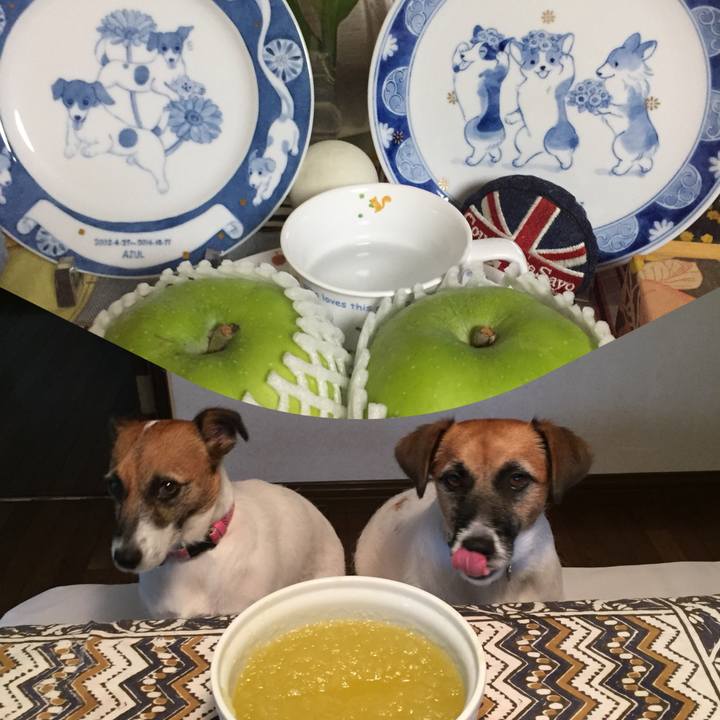 5635c8ed 7b95 45ad a02d 6fdd623a0932 1536392313907