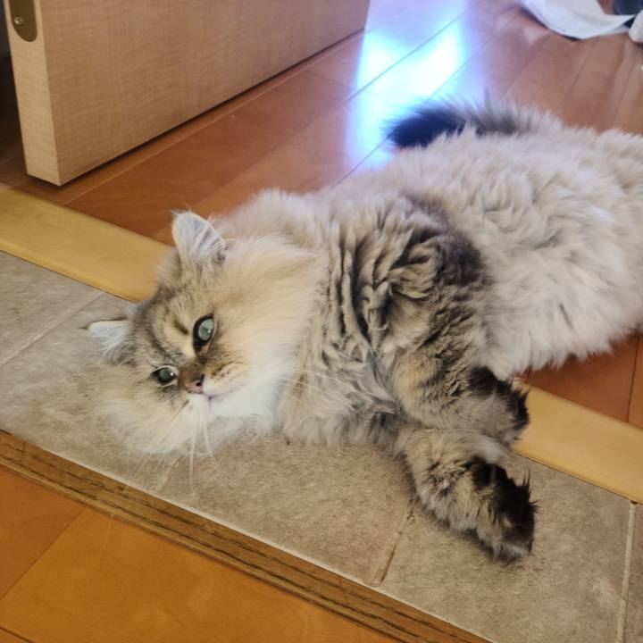 5635dd7d 06e7 478c 8a52 36e19ea004fc 1669275948247