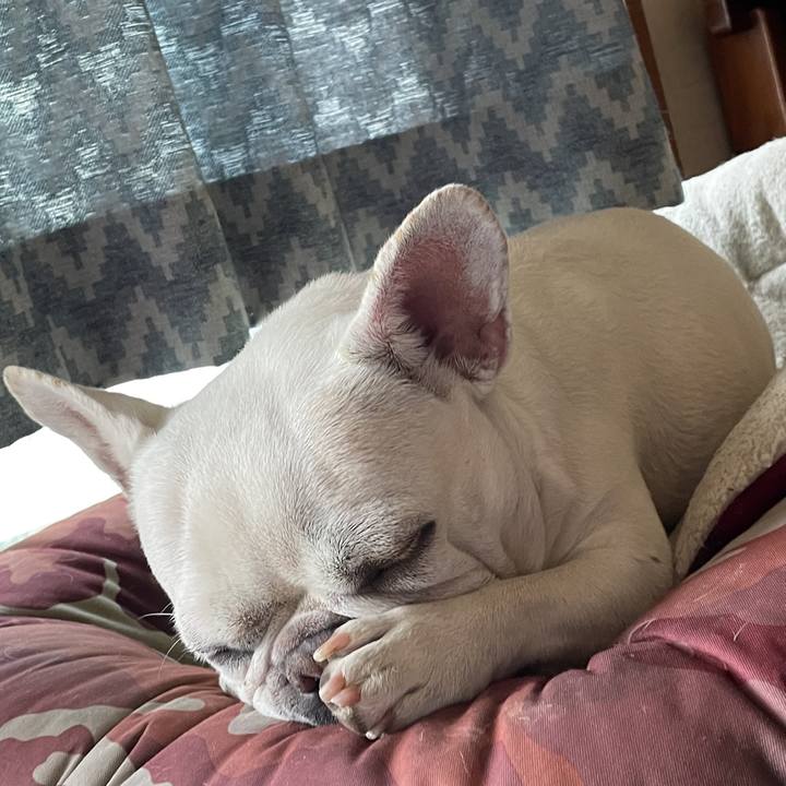 5635e0d8 e1b9 47d7 a79c 270afaab4c23 1750547462482