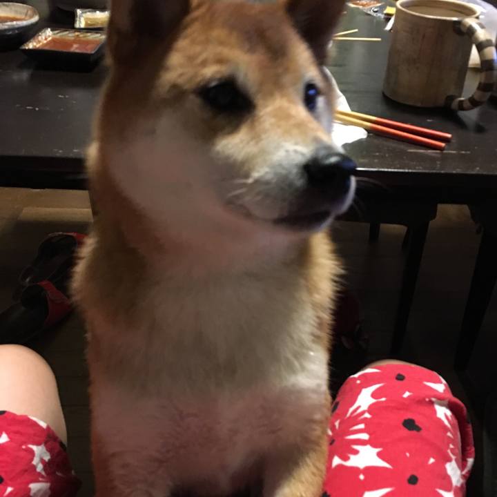 5635e35a 3c6b 4ee2 9bb7 a76b0b4c0a4d 1568981176515