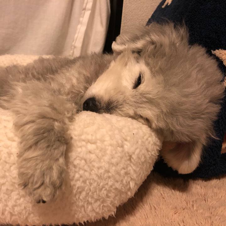 5635ea13 899f 493a 93ba 1c70aaf0264c 1585094197727