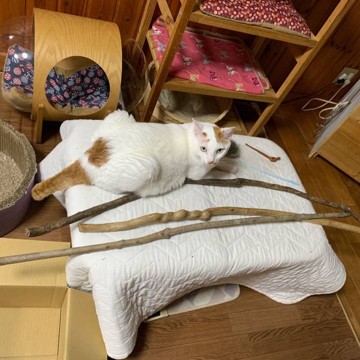 5636052d 081a 4c65 8dfe 00a7abf9888a 1652011710597