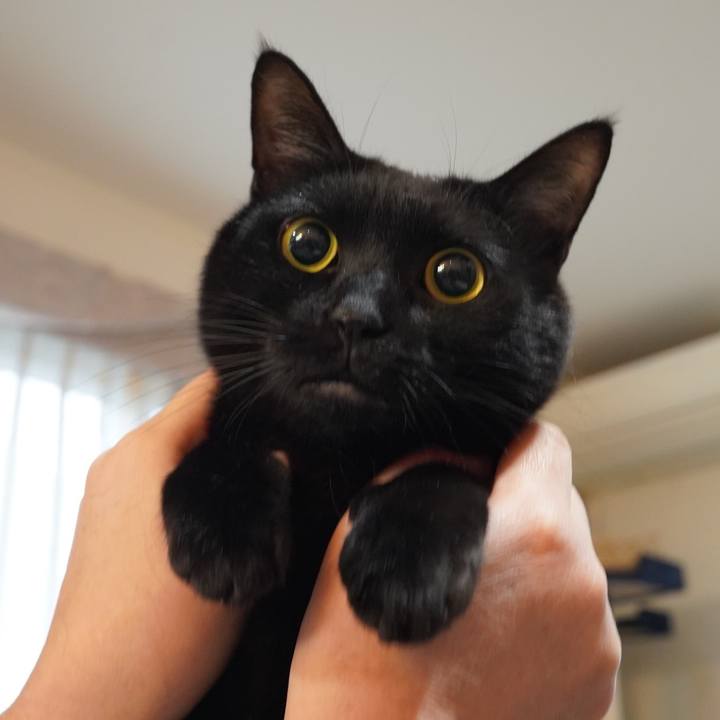 5636067c 32b3 4e28 b1ba 90d45cb72be3 1611577218819