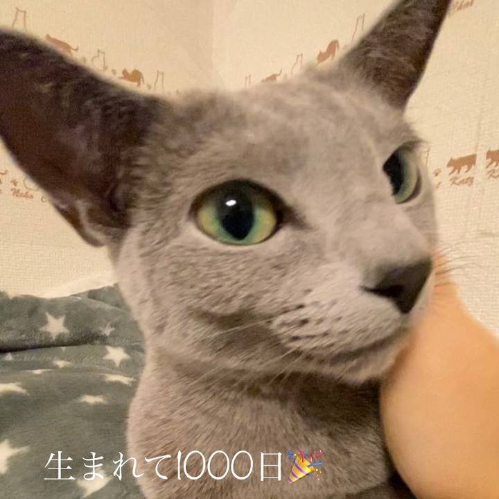 5636233d 9050 4d62 88c5 724bb2359e84 1669884726314