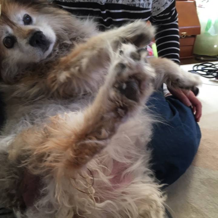 563626d3 13e4 48e4 b495 24a2cab87ef4 1558403135490