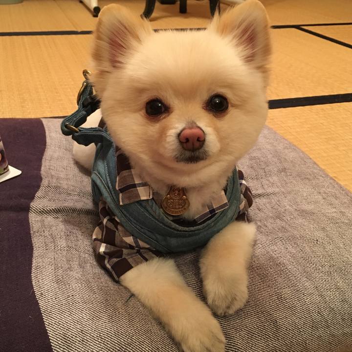 56363615 ce13 42bc b10b ecf714eeaecc 1554636781679