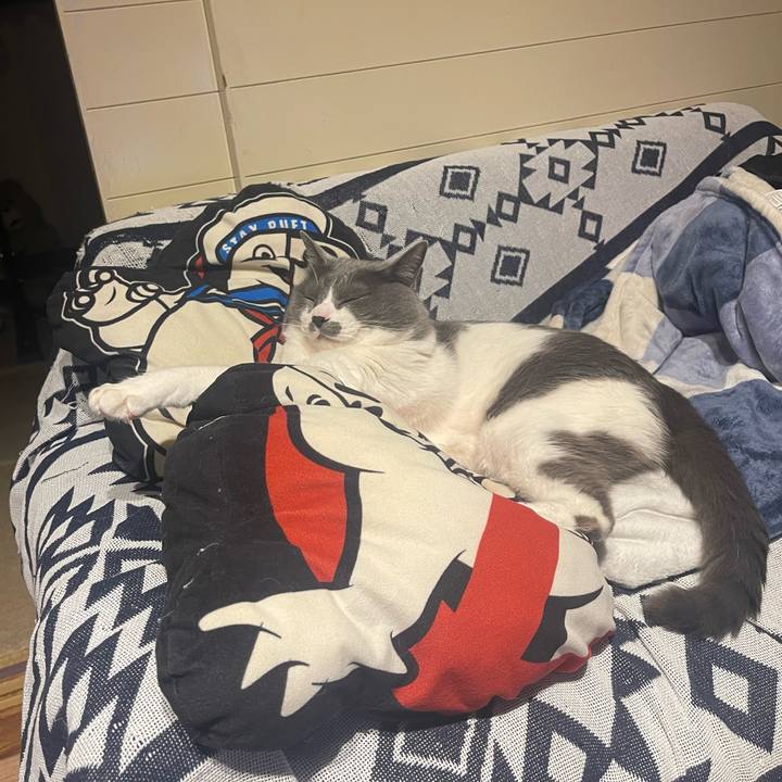 563636cd 90bb 4b58 beef 6ac38e135a79 1680458447728