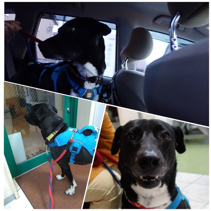 56364ae0 fcf1 42b5 a368 3f9cacabaf85 1616238324630