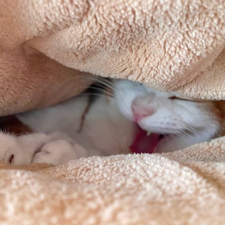 563672aa 3359 42ee a49c 3e8e7d665e49 1674454654630