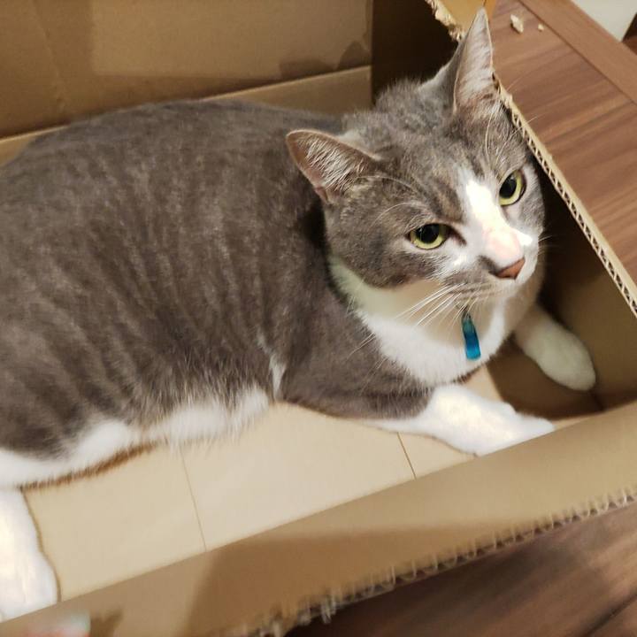 5636837a cc6f 4bac a968 250682e657cd 1654869874806