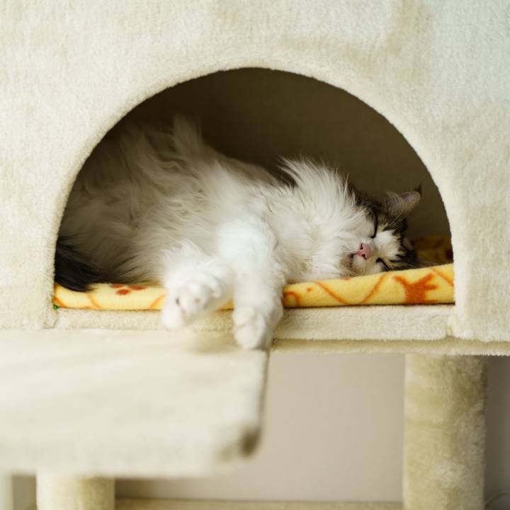 563697b5 9e2d 4480 a4da 342a6e7642d8 1651728350209