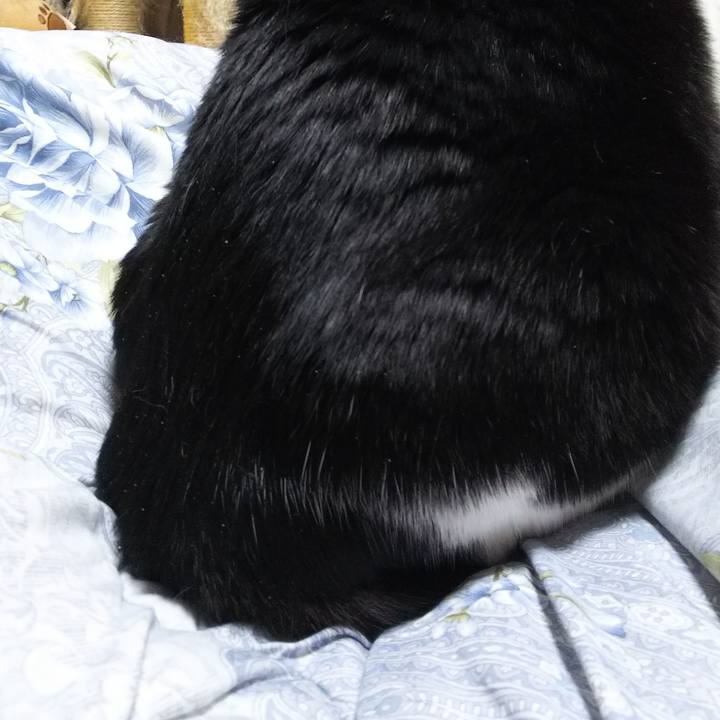 5636bf1a 933d 430c a573 518441ba255e 1551649928070