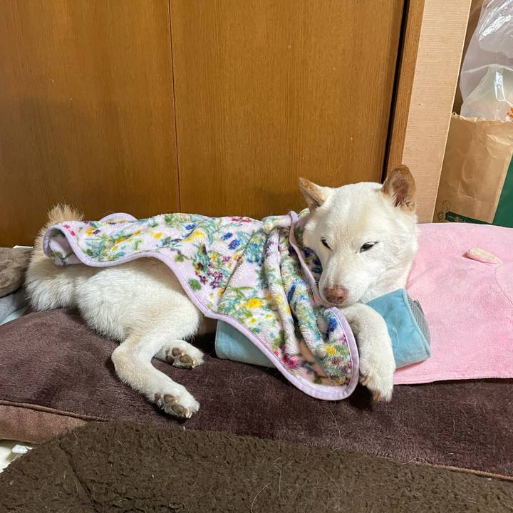 5636c0b2 4ab4 4afe 8e43 c6cb199e1aab 1637583076954