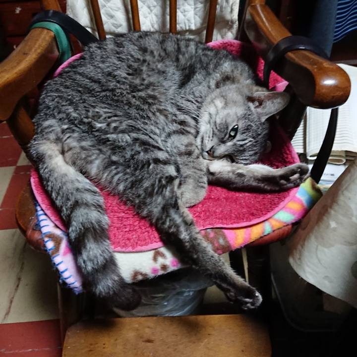 5636c957 88be 4ce9 b77f 3a4c09c44620 1581410882045